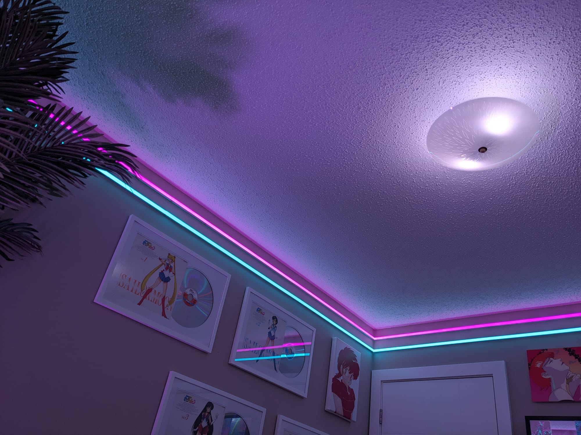 The Mallsoft LED Lighting Project - Part 1